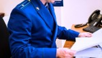 В Инсаре по иску прокурора с администрации района взыскана компенсация морального вреда в пользу ребенка, пострадавшего от укуса собаки